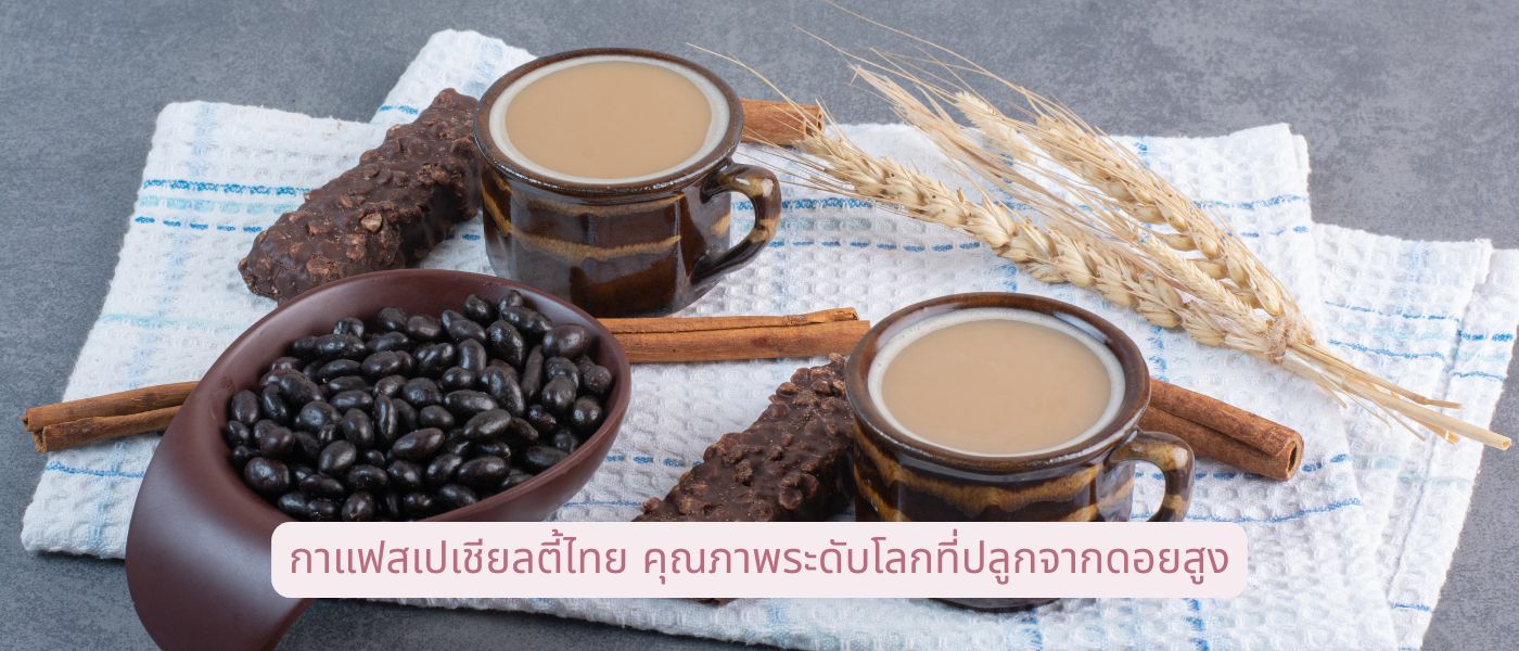 กาแฟสเปเชียลตี้ไทย คุณภาพระดับโลกที่ปลูกจากดอยสูง