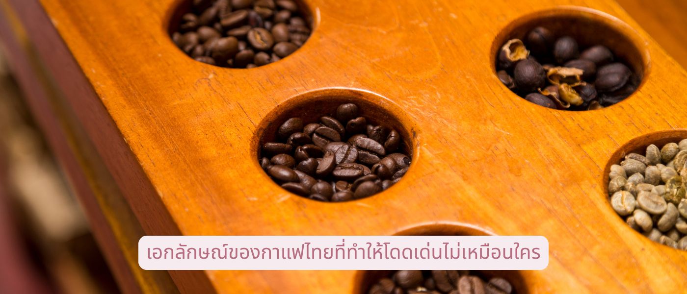 เอกลักษณ์ของกาแฟไทยที่ทำให้โดดเด่นไม่เหมือนใคร