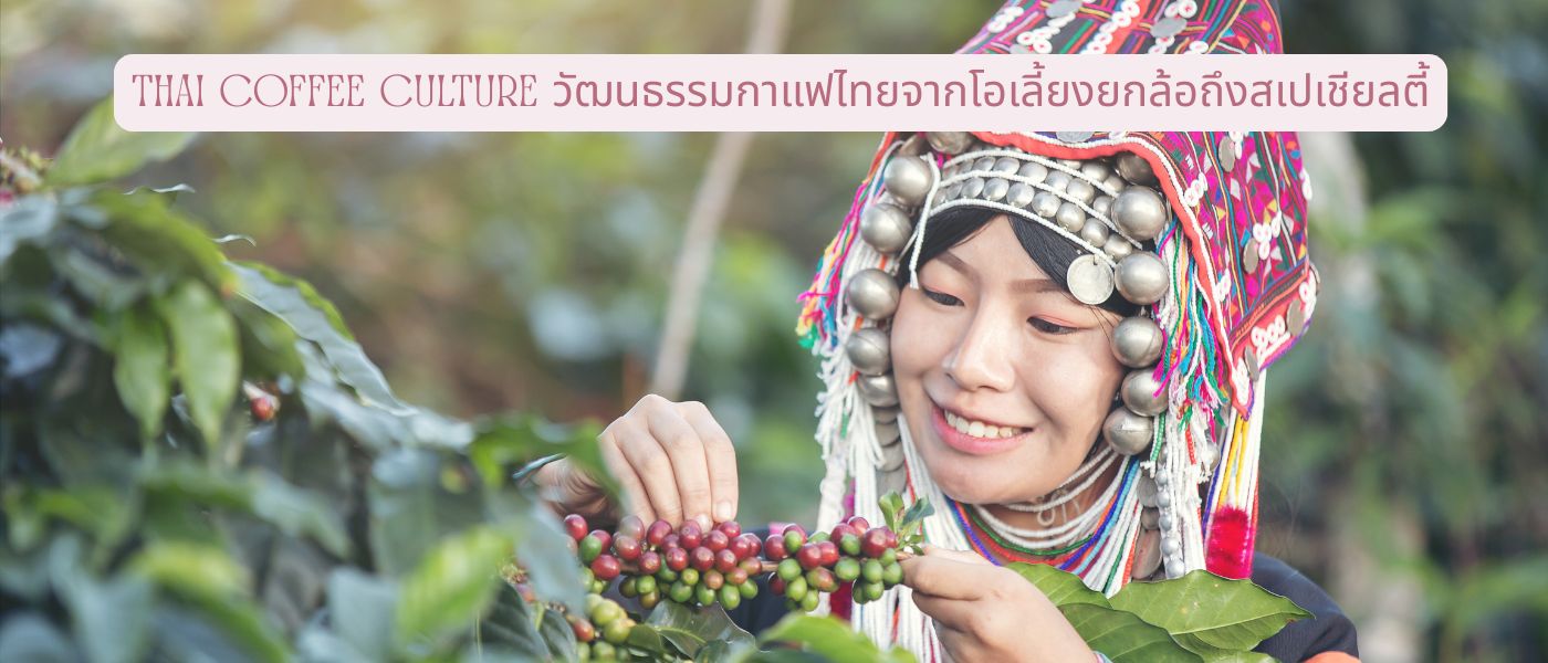 Thai Coffee Culture วัฒนธรรมกาแฟไทยจากโอเลี้ยงยกล้อถึงสเปเชียลตี้
